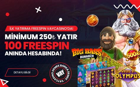 Vaycasino Giriş Sorunu ve Çözüm Yolları